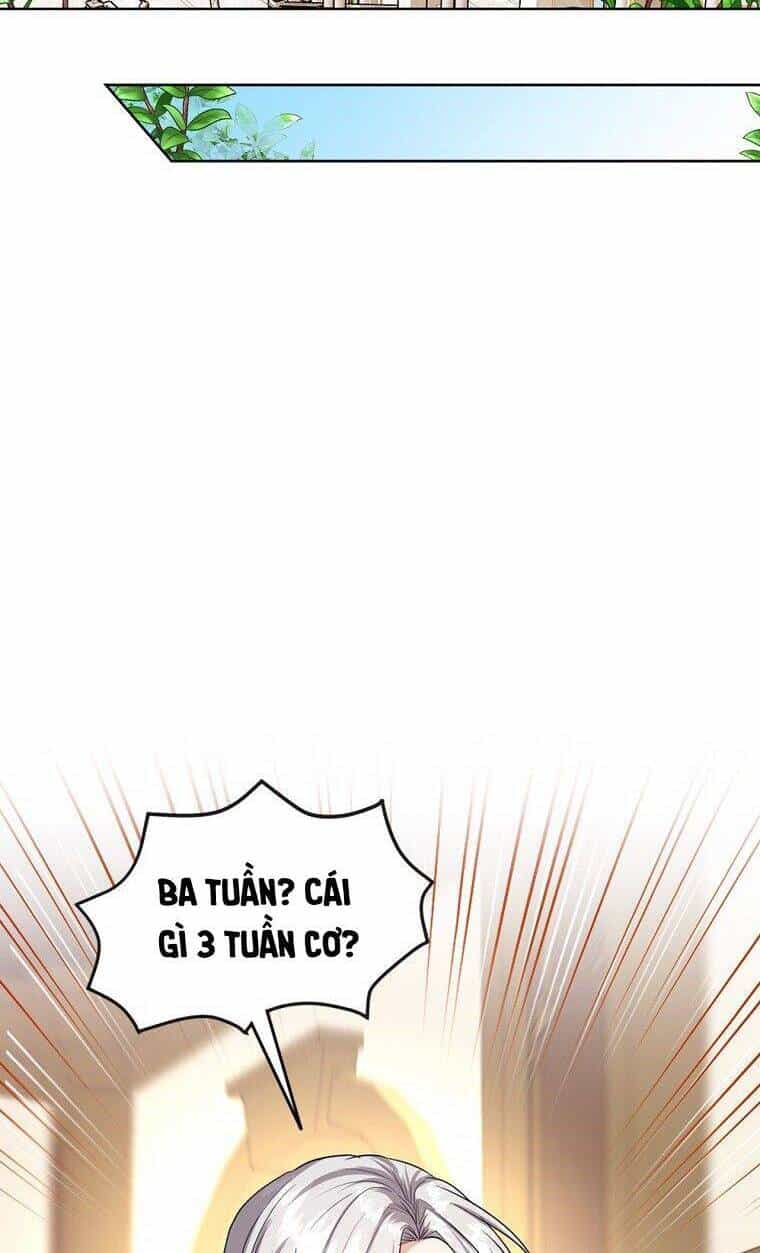 Cuộc Hôn Nhân Hợp Đồng Của Công Tước Ashleyan - Chương 23 - ảnh 28