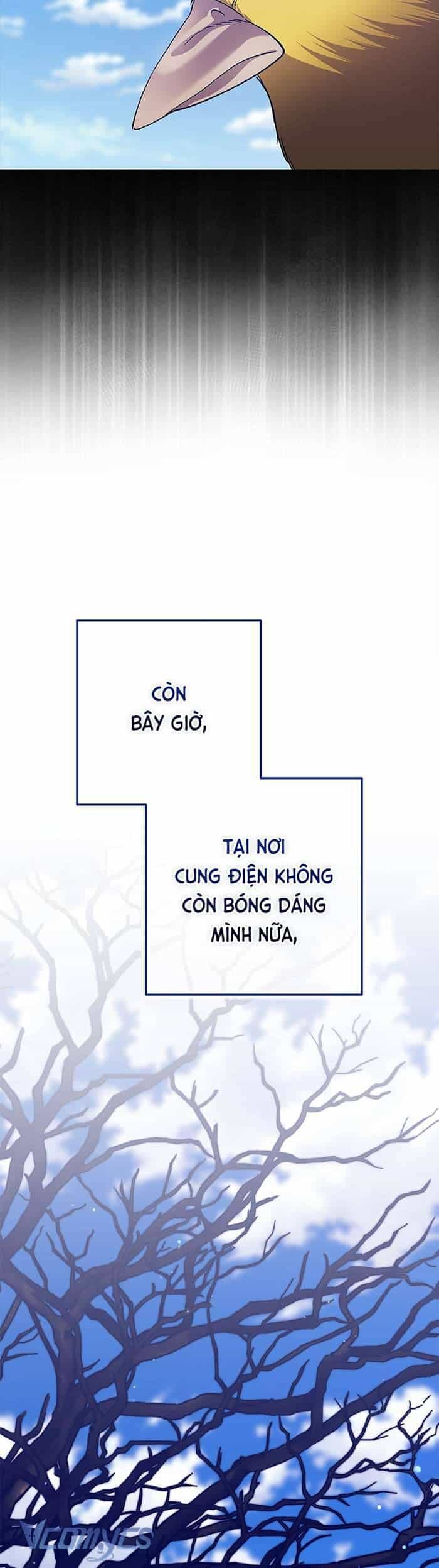 Cuộc Hôn Nhân Này Dù Sao Cũng Sẽ Tan Vỡ Mà Thôi - Chương 92 - ảnh 12