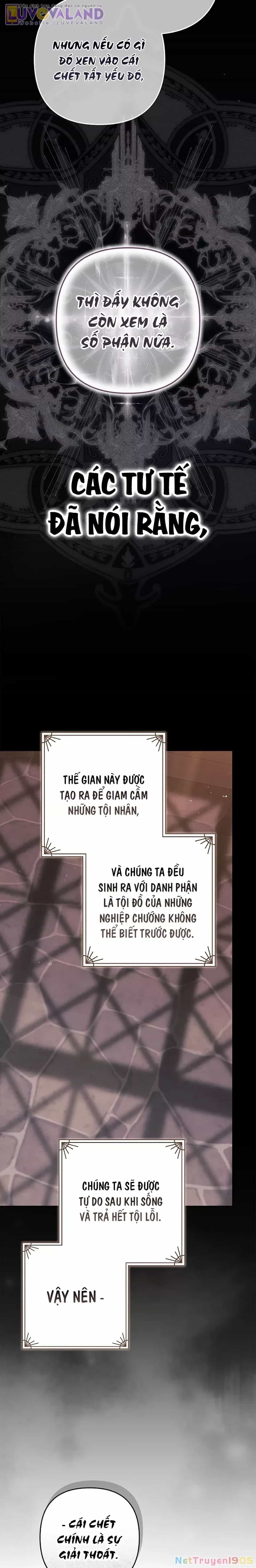 Cuộc Hôn Nhân Này Dù Sao Cũng Sẽ Tan Vỡ Mà Thôi - Chương 99 - ảnh 13