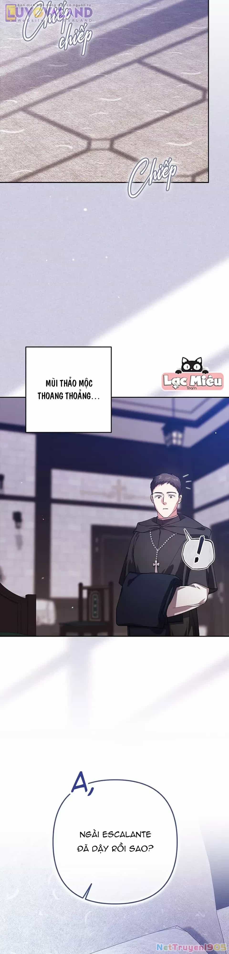 Cuộc Hôn Nhân Này Dù Sao Cũng Sẽ Tan Vỡ Mà Thôi - Chương 101 - ảnh 23