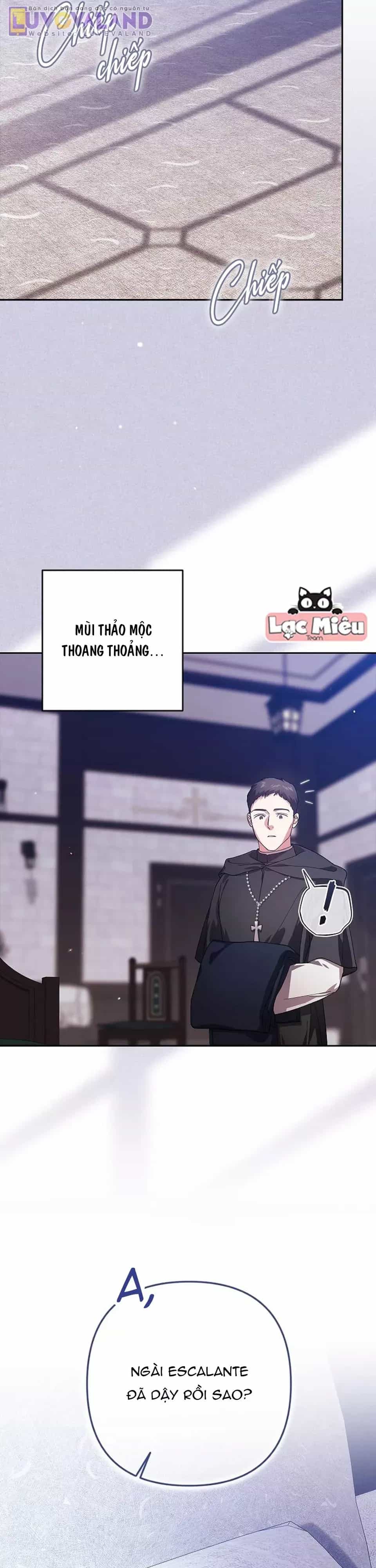 Cuộc Hôn Nhân Này Dù Sao Cũng Sẽ Tan Vỡ Mà Thôi - Chương 101 - ảnh 83