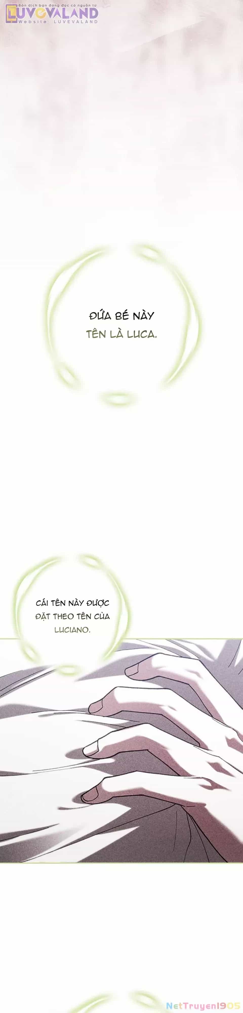 Cuộc Hôn Nhân Này Dù Sao Cũng Sẽ Tan Vỡ Mà Thôi - Chương 102 - ảnh 28
