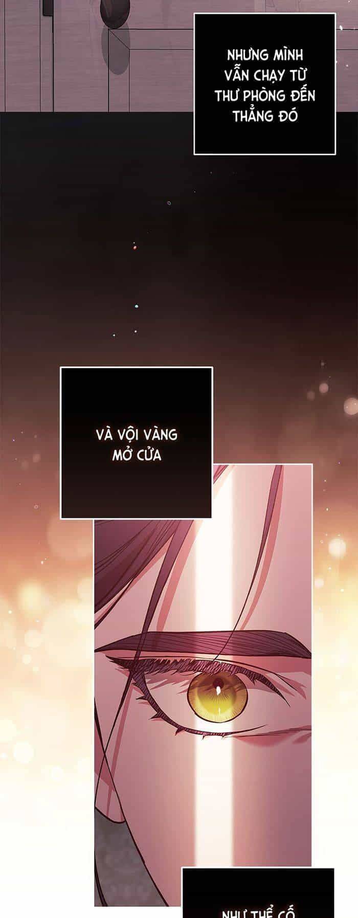 Cuộc Hôn Nhân Này Dù Sao Cũng Sẽ Tan Vỡ Mà Thôi - Chương 52 - ảnh 18