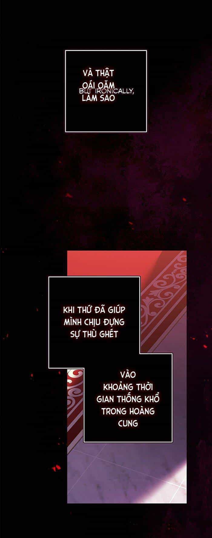 Cuộc Hôn Nhân Này Dù Sao Cũng Sẽ Tan Vỡ Mà Thôi - Chương 52 - ảnh 9