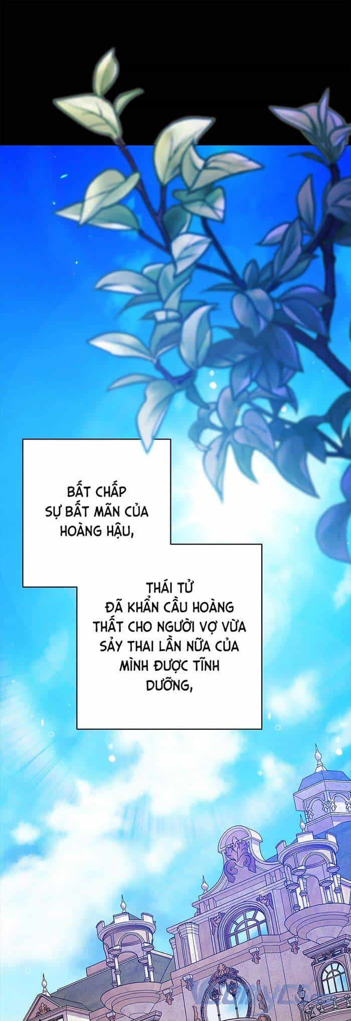Cuộc Hôn Nhân Này Dù Sao Cũng Sẽ Tan Vỡ Mà Thôi - Chương 53 - ảnh 24