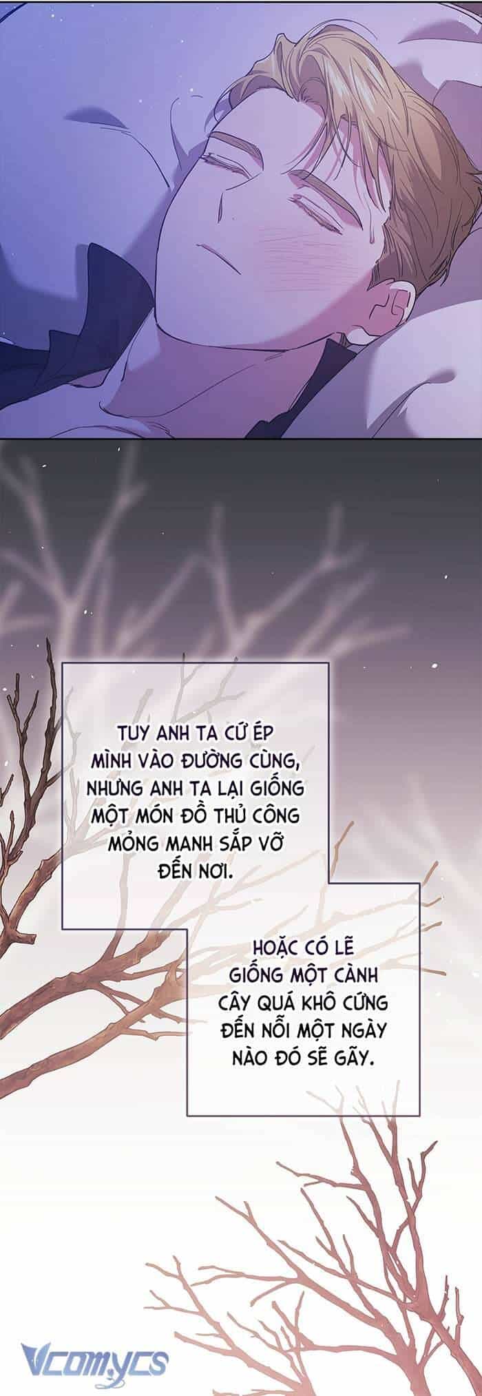 Cuộc Hôn Nhân Này Dù Sao Cũng Sẽ Tan Vỡ Mà Thôi - Chương 59 - ảnh 12