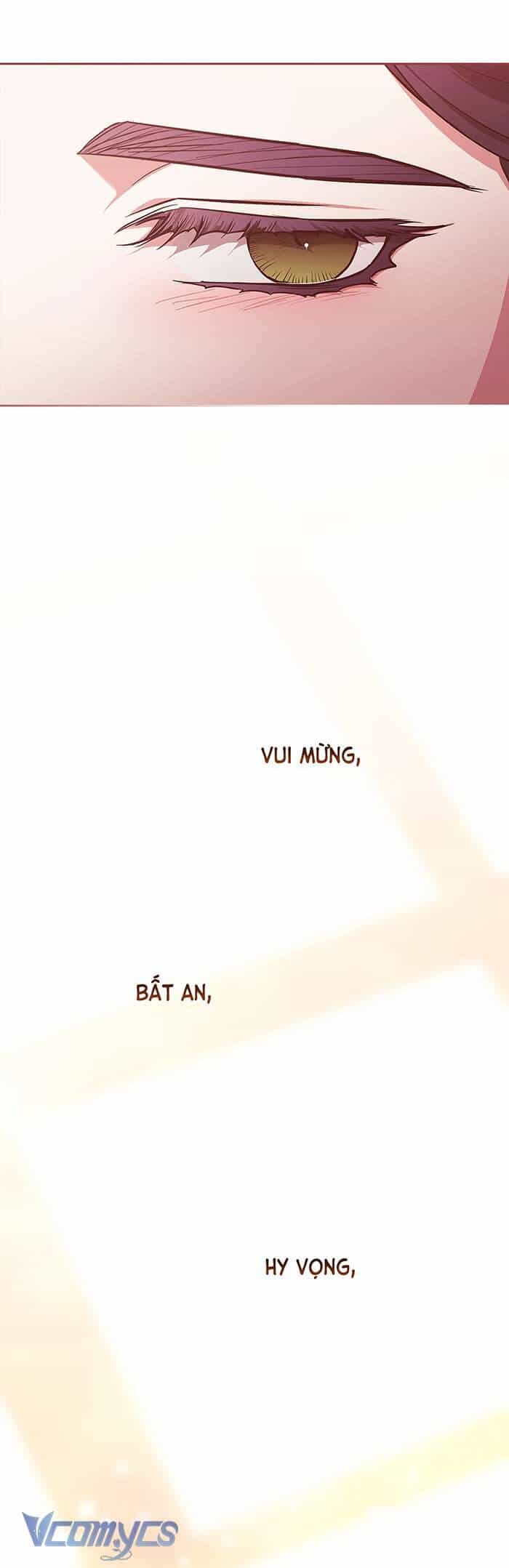 Cuộc Hôn Nhân Này Dù Sao Cũng Sẽ Tan Vỡ Mà Thôi - Chương 69 - ảnh 19