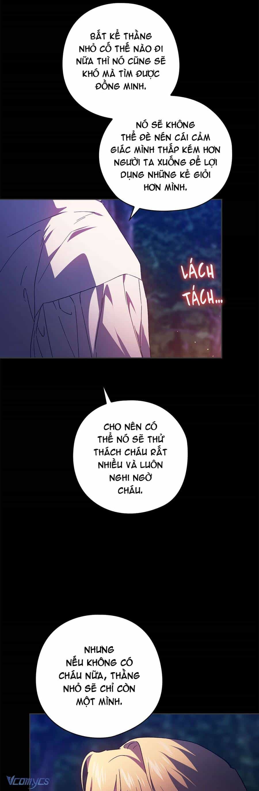 Cuộc Hôn Nhân Này Dù Sao Cũng Sẽ Tan Vỡ Mà Thôi - Chương 73 - ảnh 24