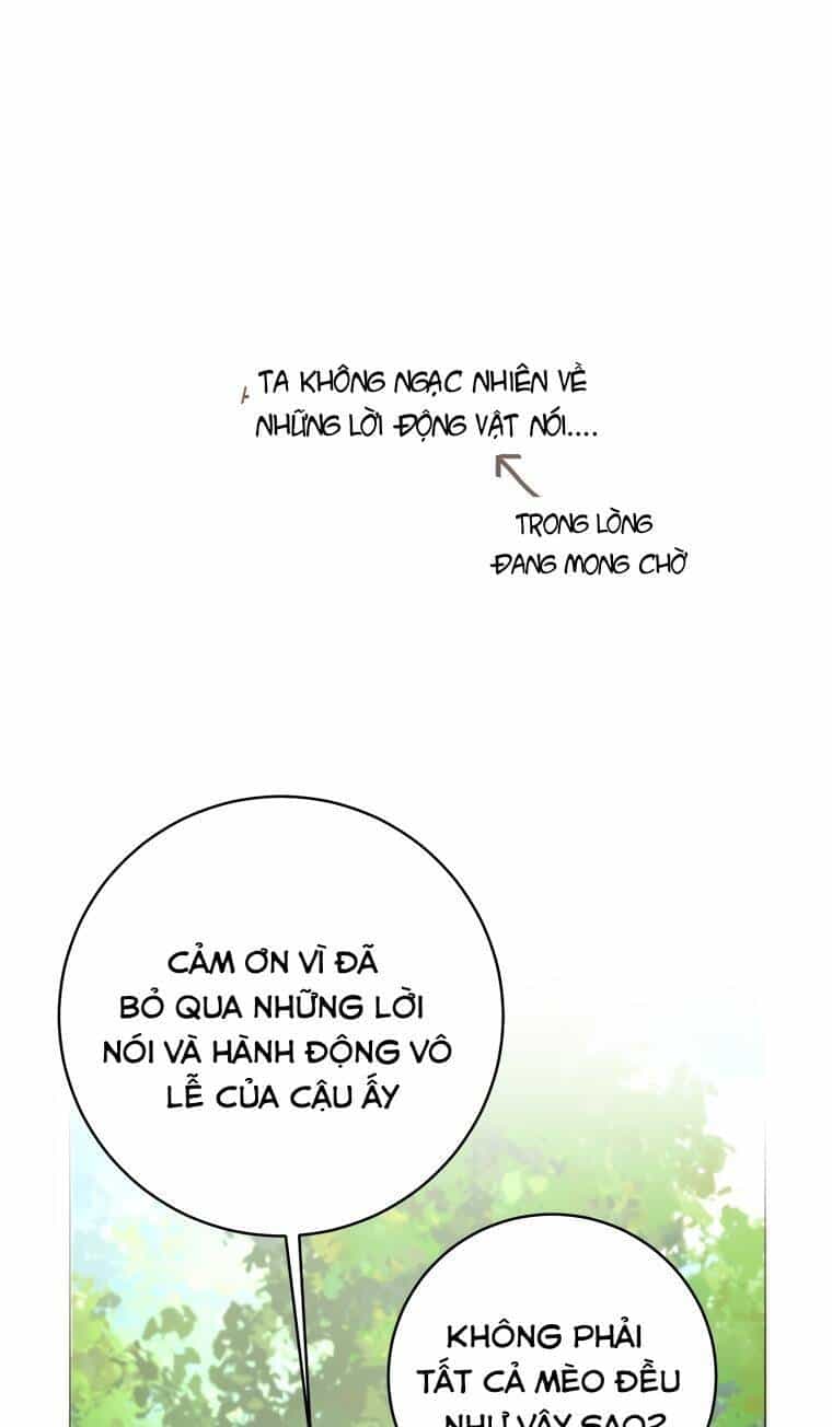 Cuộc Hôn Nhân Xa Hoa Của Đại Công Tước Là Giả - Chương 22 - ảnh 6