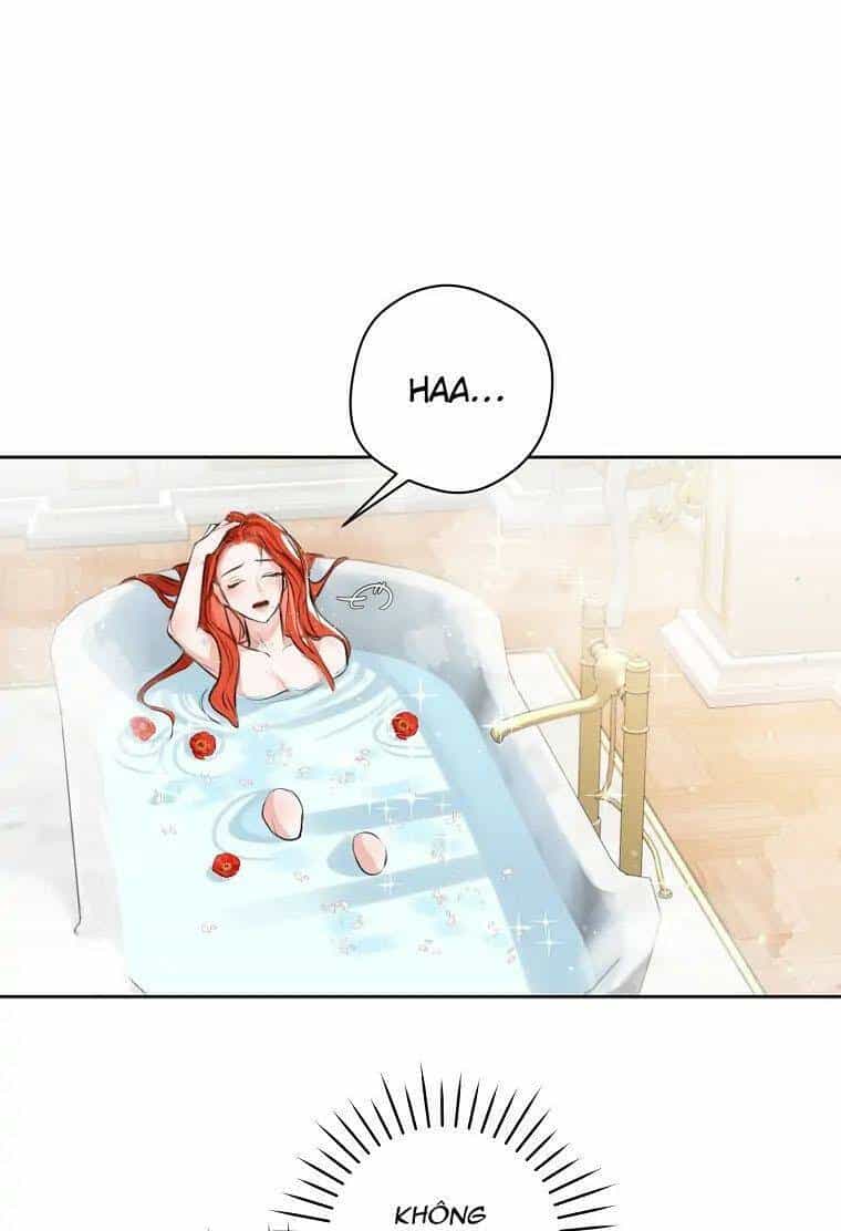 Cuộc Hôn Nhân Xa Hoa Của Đại Công Tước Là Giả - Chương 2 - ảnh 5