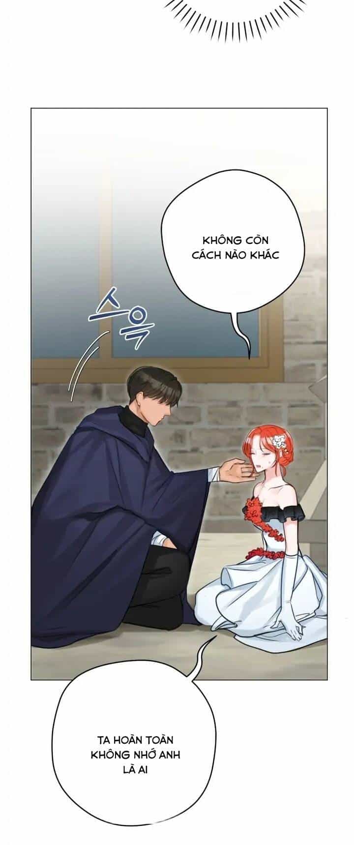 Cuộc Hôn Nhân Xa Hoa Của Đại Công Tước Là Giả - Chương 33 - ảnh 27