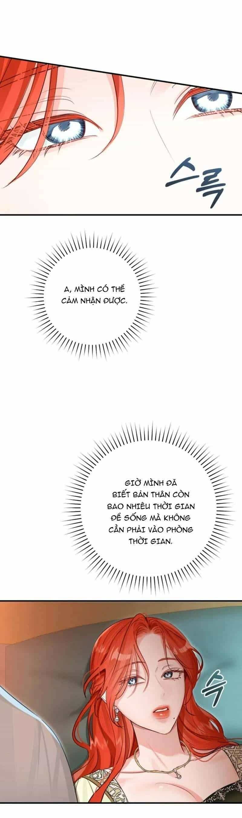 Cuộc Hôn Nhân Xa Hoa Của Đại Công Tước Là Giả - Chương 85 - ảnh 24