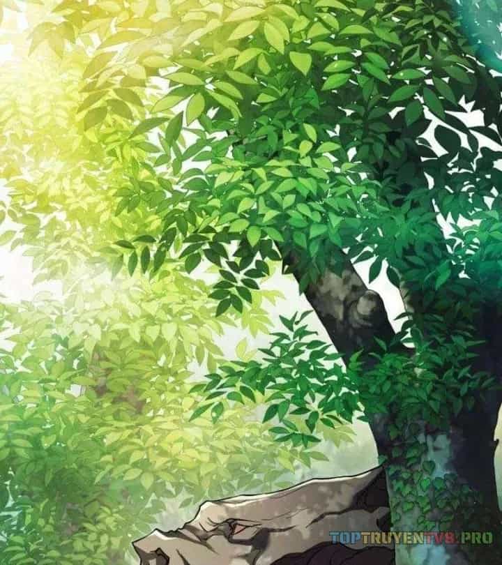 Cuộc Sống Tái Sinh Của Pháp Sư Hẻm Tối - Chương 36 - ảnh 5