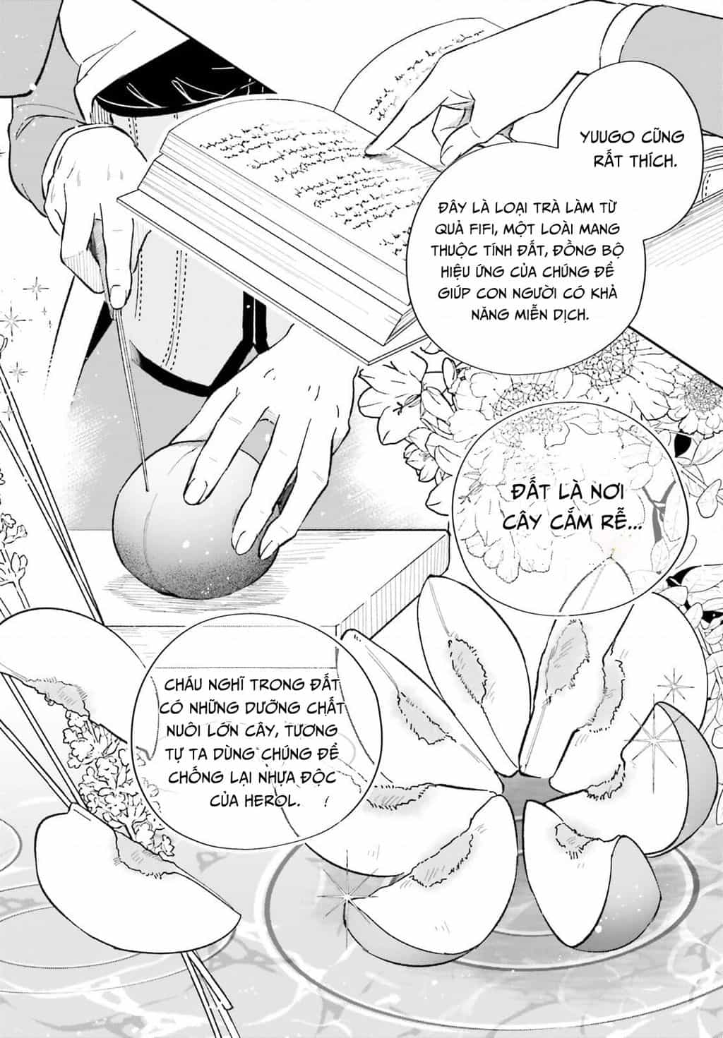 Cuộc Sống Thưởng Trà Của Amalia, Nàng Phù Thủy Bị Lãng Quên - Chương 7 - ảnh 8
