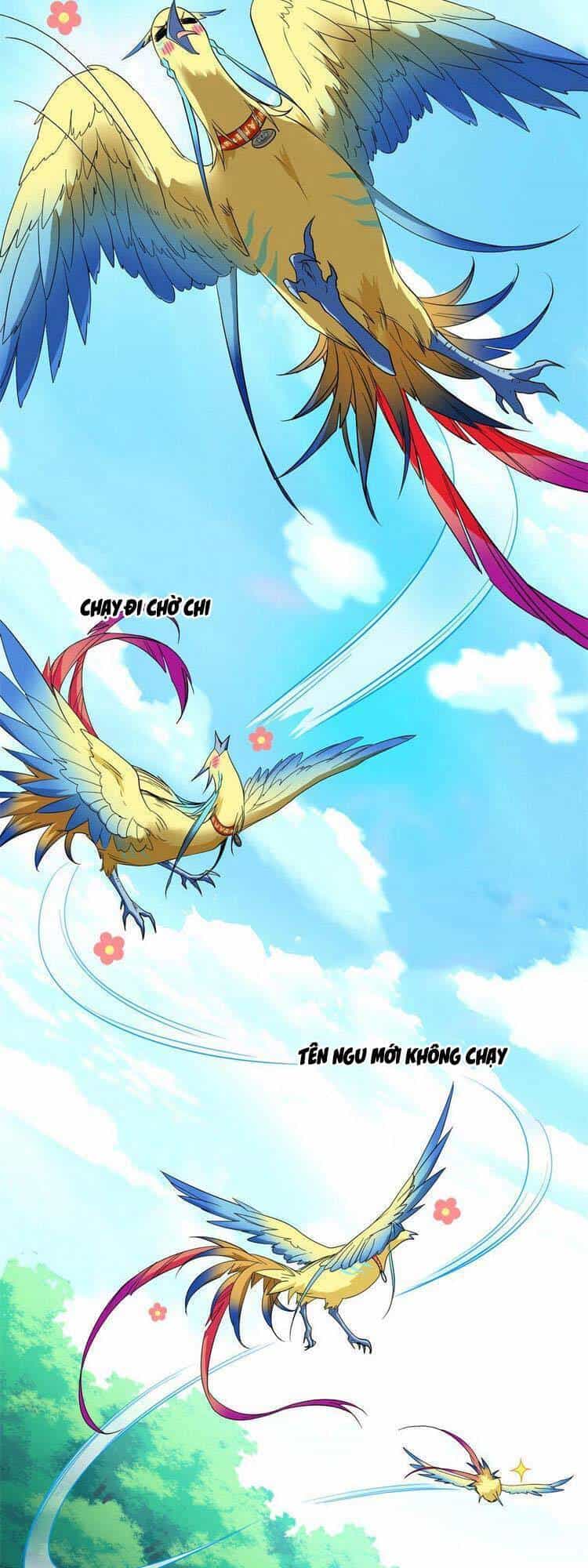 Cường Giả Đến Từ Trại Tâm Thần - Chương 123 - ảnh 14