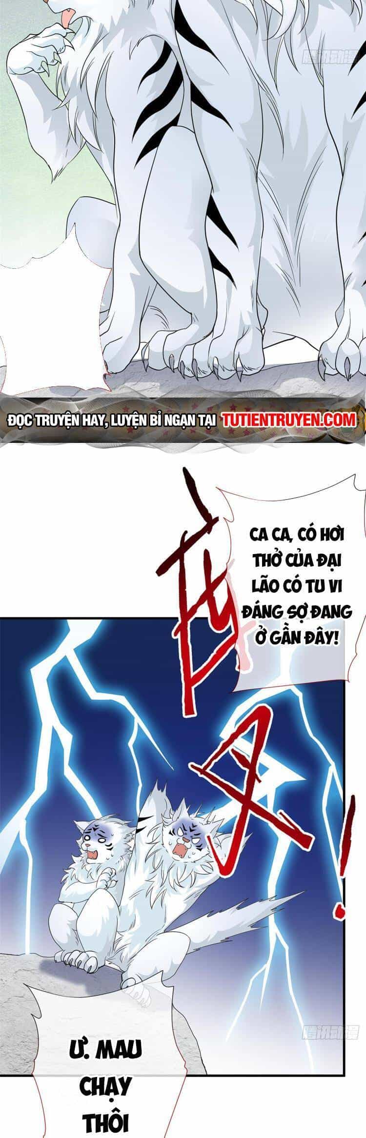 Cường Giả Đến Từ Trại Tâm Thần - Chương 197 - ảnh 13
