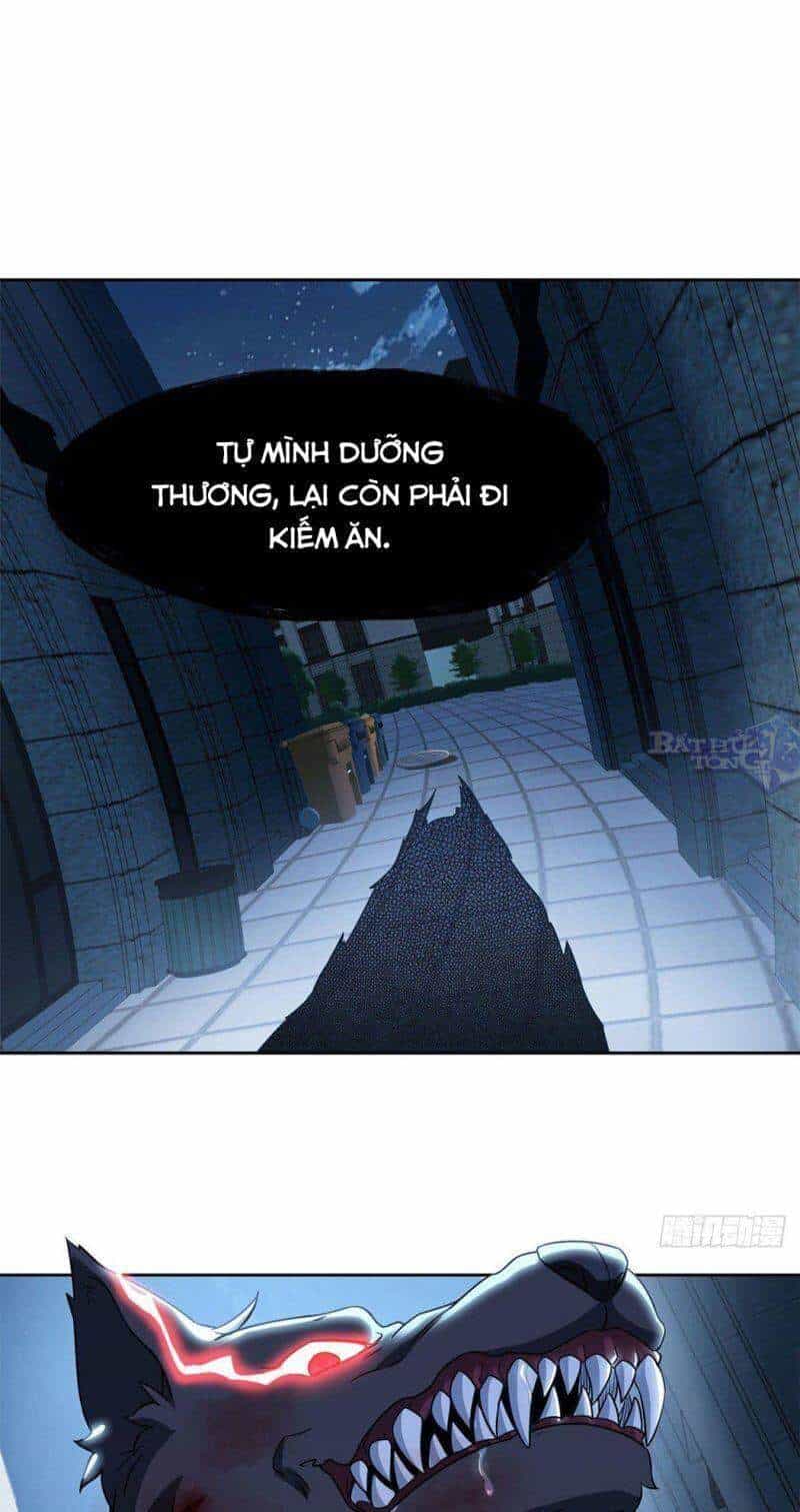 Cường Giả Đến Từ Trại Tâm Thần - Chương 21 - ảnh 3