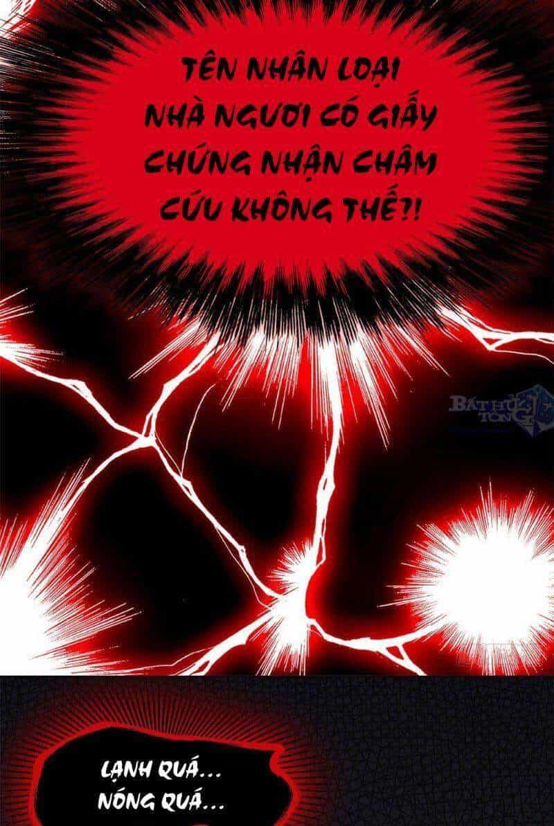 Cường Giả Đến Từ Trại Tâm Thần - Chương 21 - ảnh 38