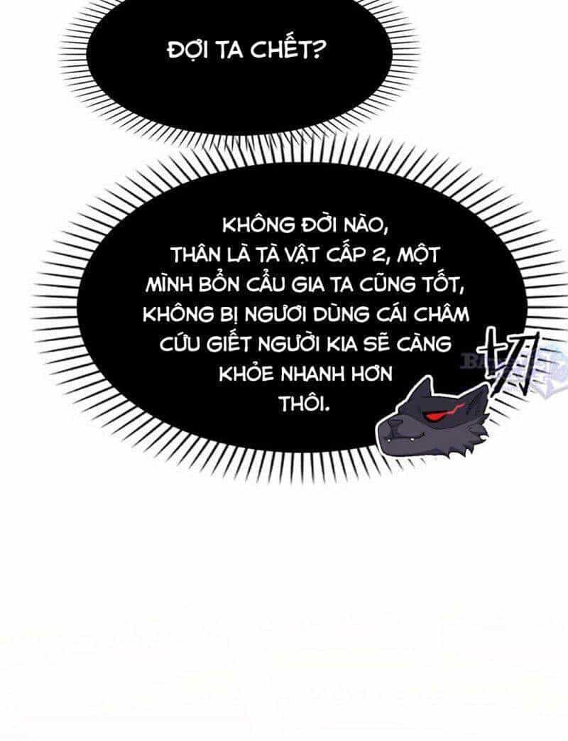 Cường Giả Đến Từ Trại Tâm Thần - Chương 22 - ảnh 11