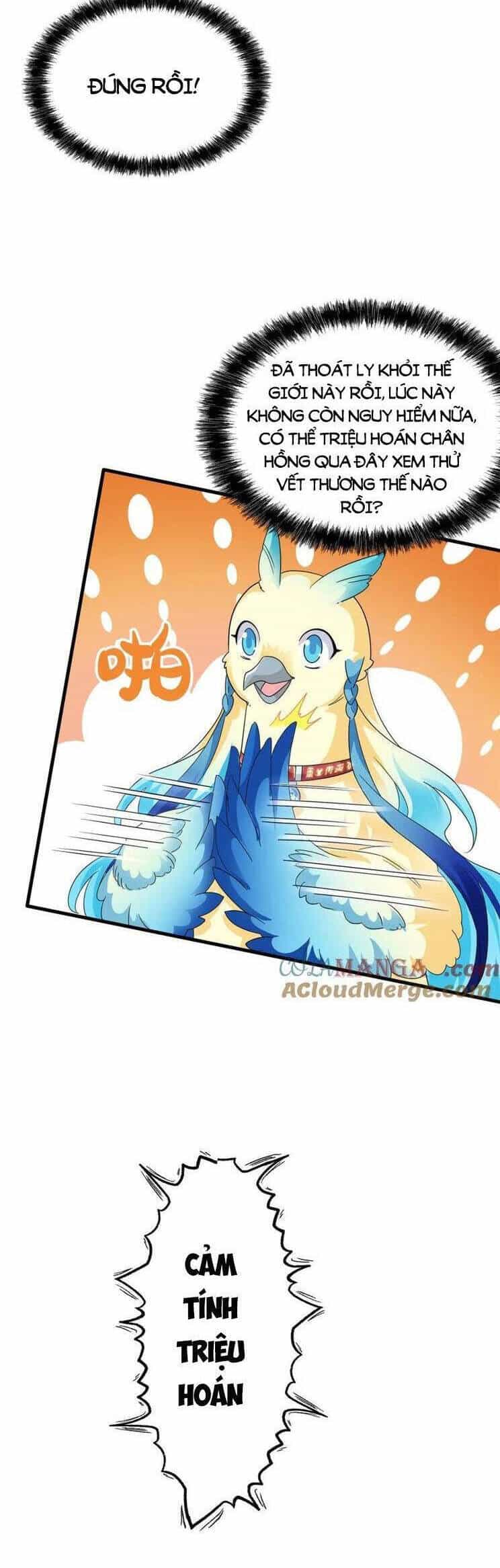 Cường Giả Đến Từ Trại Tâm Thần - Chương 299 - ảnh 11