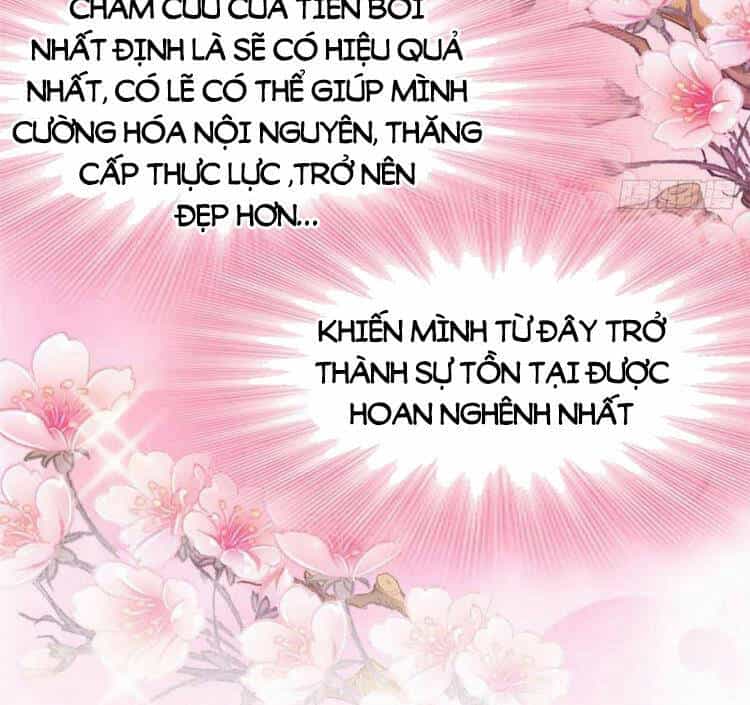 Cường Giả Đến Từ Trại Tâm Thần - Chương 60 - ảnh 31