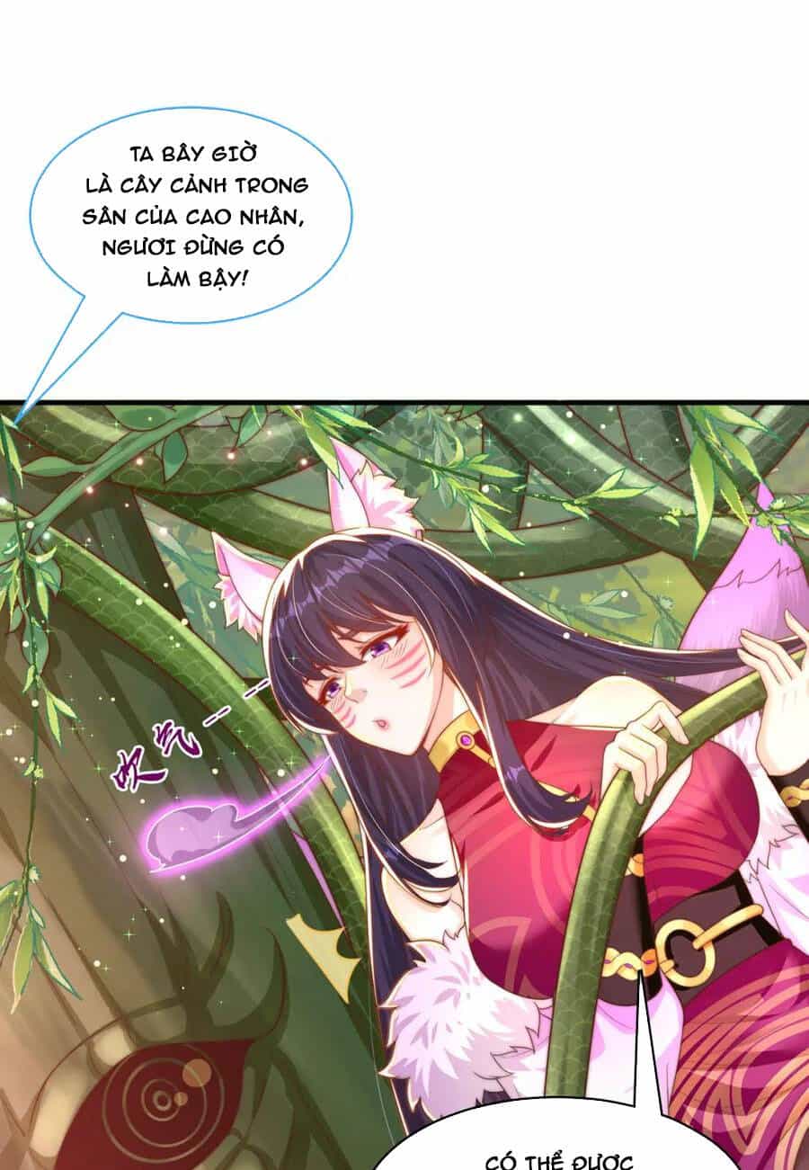 Cường Giả Tuyệt Thế Chỉ Muốn Làm Ruộng - Chương 75 - ảnh 2
