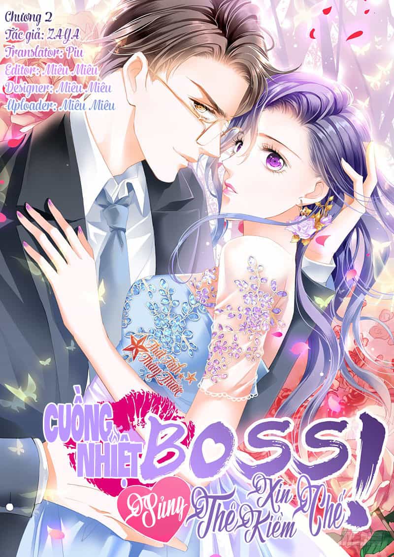 Cuồng Nhiệt Boss, Sủng Thê Xin Kiềm Chế - Chương 2 - ảnh 2