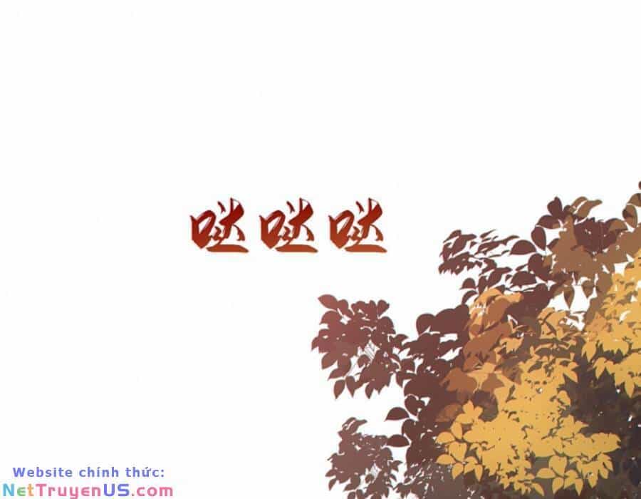 Cướp Đoạt Vô Số Thiên Phú, Ta Trở Thành Thần Ở Thời Đại Toàn Dân Chuyển Chức - Chương 17 - ảnh 16