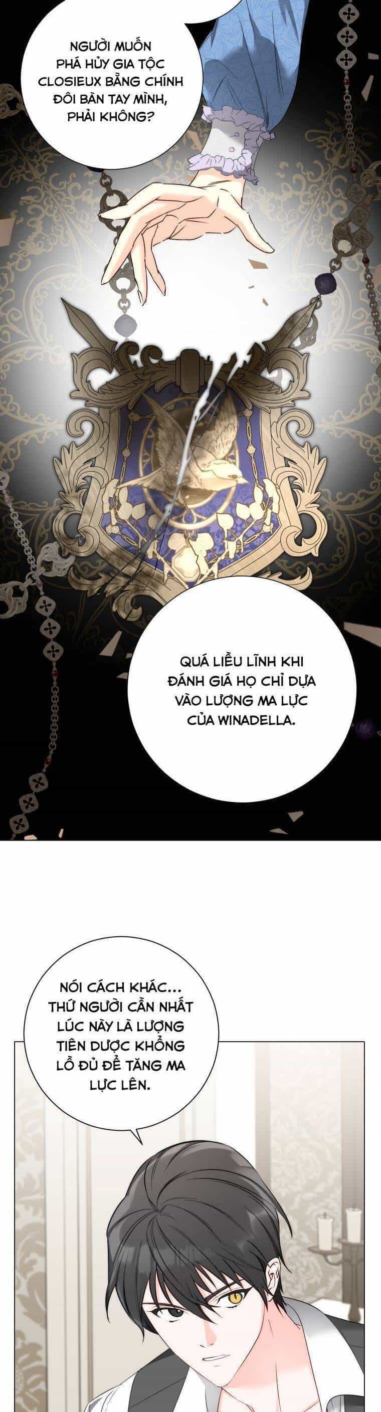 Cút Khỏi Gia Tộc Của Tôi!! - Chương 6 - ảnh 15