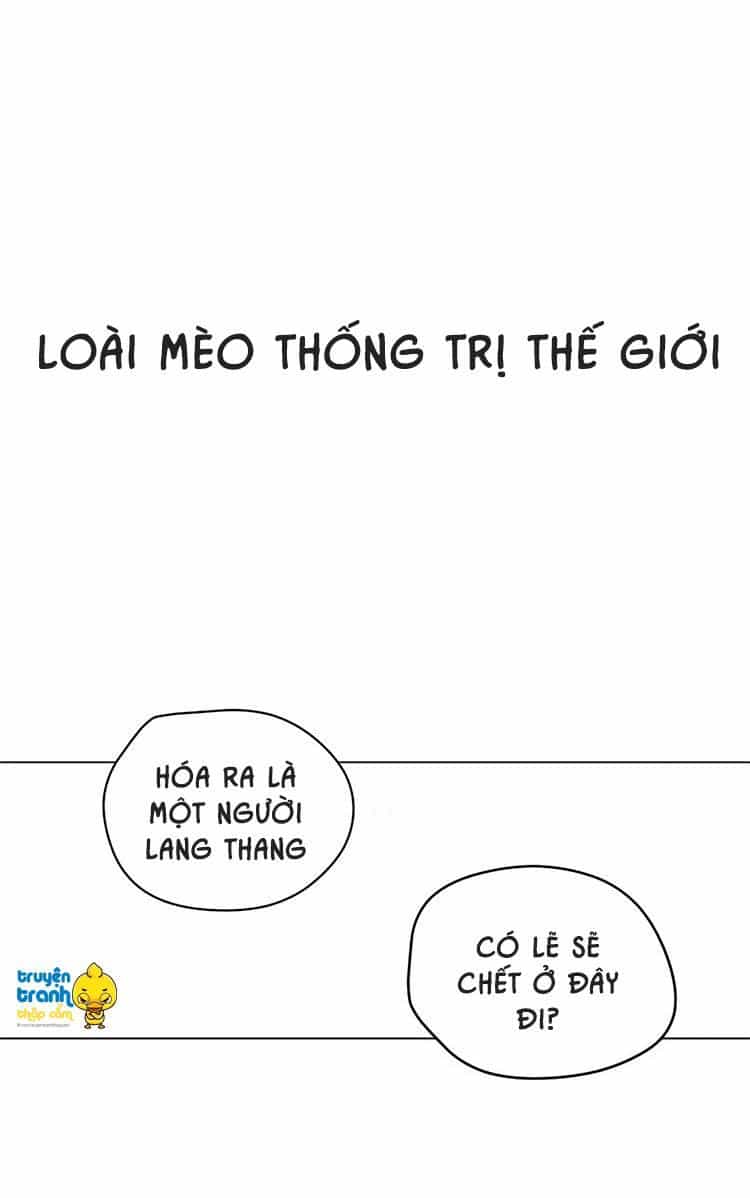 Cứu Mạng! Loài Mèo Thống Trị Thế Giới Rồi! - Chương 1 - ảnh 3