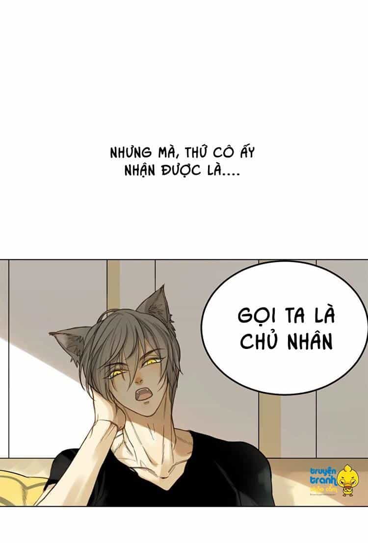 Cứu Mạng! Loài Mèo Thống Trị Thế Giới Rồi! - Chương 1 - ảnh 7