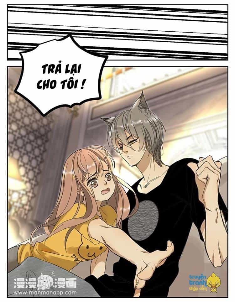 Cứu Mạng! Loài Mèo Thống Trị Thế Giới Rồi! - Chương 11 - ảnh 6