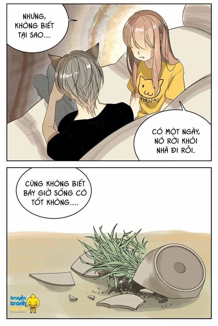 Cứu Mạng! Loài Mèo Thống Trị Thế Giới Rồi! - Chương 11 - ảnh 9