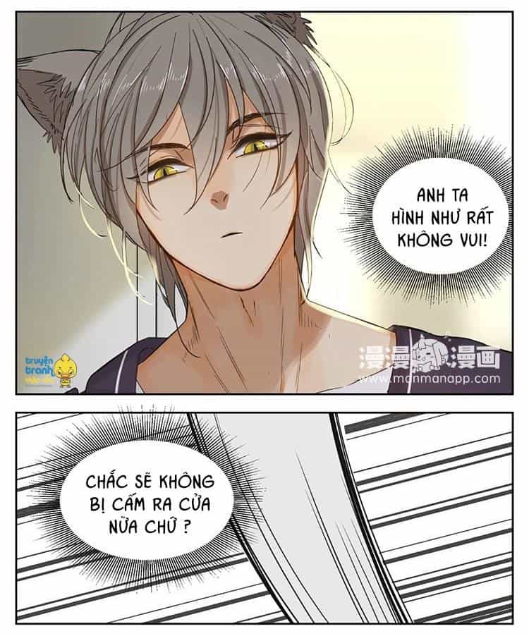 Cứu Mạng! Loài Mèo Thống Trị Thế Giới Rồi! - Chương 12 - ảnh 16