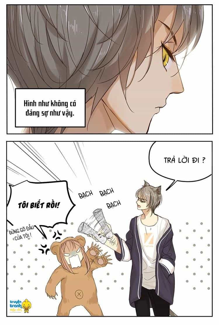 Cứu Mạng! Loài Mèo Thống Trị Thế Giới Rồi! - Chương 12 - ảnh 19