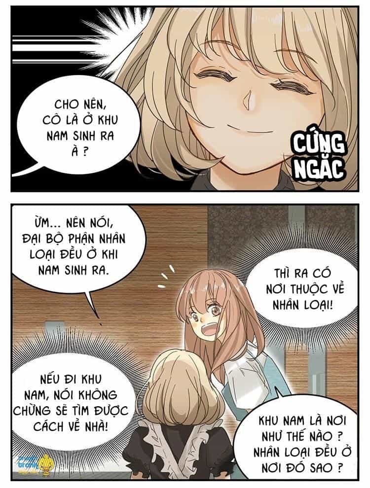 Cứu Mạng! Loài Mèo Thống Trị Thế Giới Rồi! - Chương 12 - ảnh 3