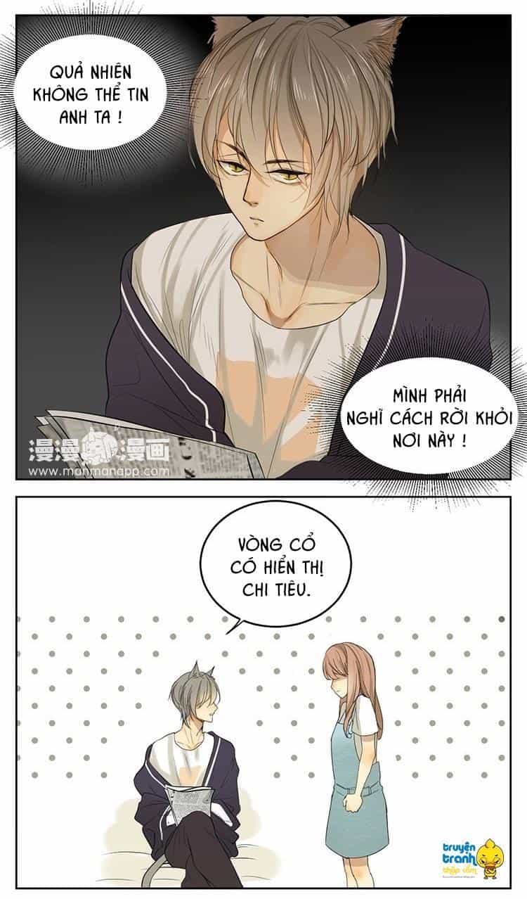 Cứu Mạng! Loài Mèo Thống Trị Thế Giới Rồi! - Chương 13 - ảnh 14
