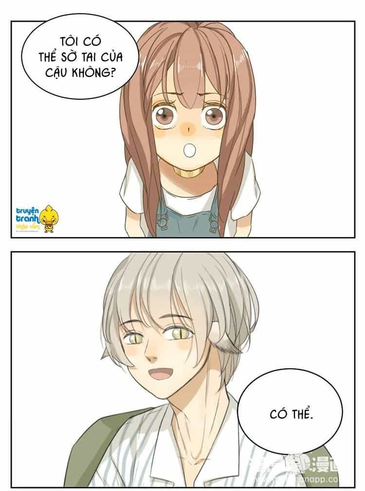 Cứu Mạng! Loài Mèo Thống Trị Thế Giới Rồi! - Chương 13 - ảnh 26
