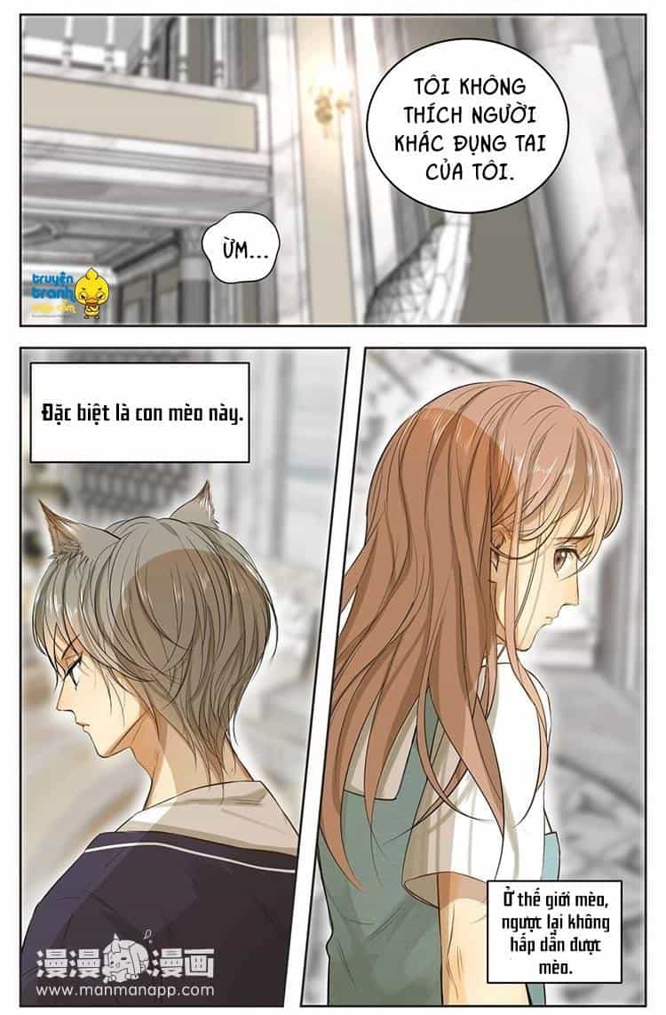 Cứu Mạng! Loài Mèo Thống Trị Thế Giới Rồi! - Chương 13 - ảnh 9