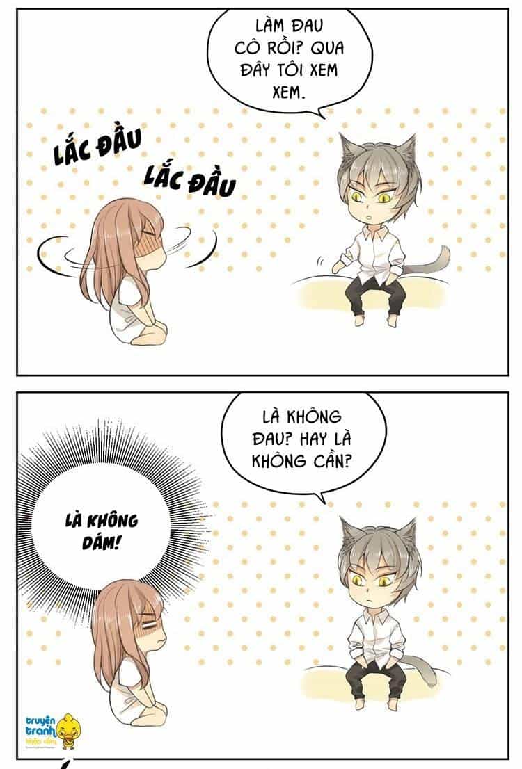Cứu Mạng! Loài Mèo Thống Trị Thế Giới Rồi! - Chương 16 - ảnh 13