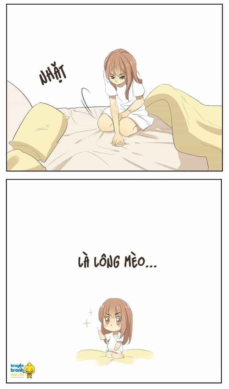 Cứu Mạng! Loài Mèo Thống Trị Thế Giới Rồi! - Chương 16 - ảnh 24