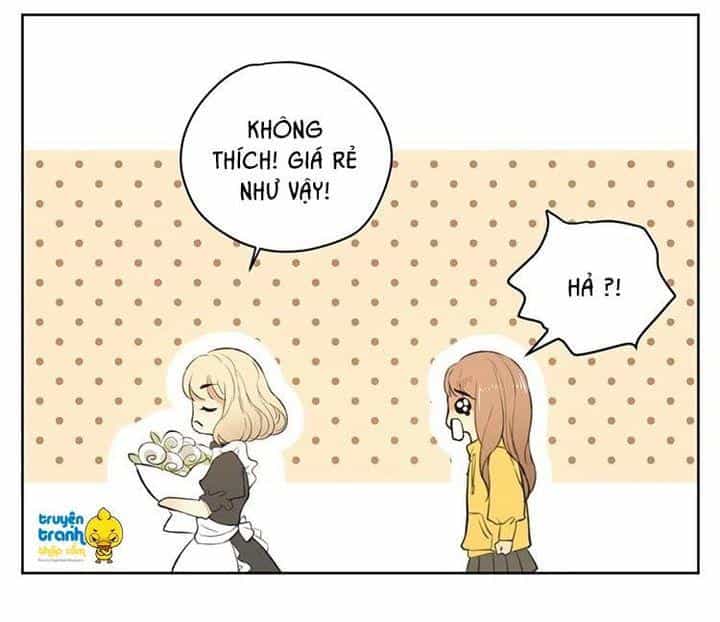 Cứu Mạng! Loài Mèo Thống Trị Thế Giới Rồi! - Chương 17 - ảnh 23