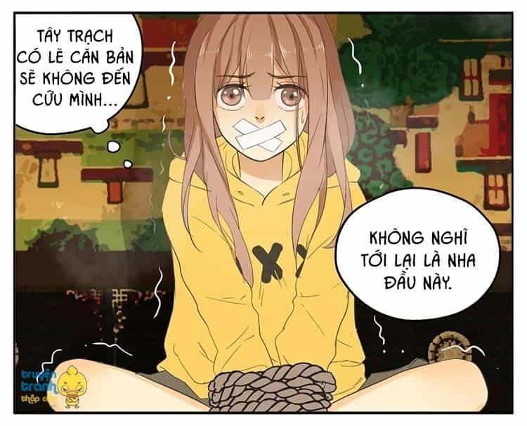 Cứu Mạng! Loài Mèo Thống Trị Thế Giới Rồi! - Chương 18 - ảnh 19