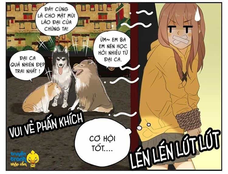 Cứu Mạng! Loài Mèo Thống Trị Thế Giới Rồi! - Chương 18 - ảnh 21