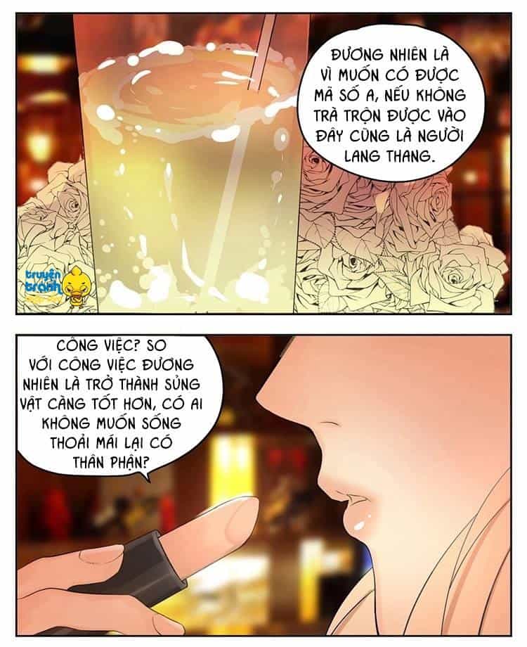Cứu Mạng! Loài Mèo Thống Trị Thế Giới Rồi! - Chương 18 - ảnh 3