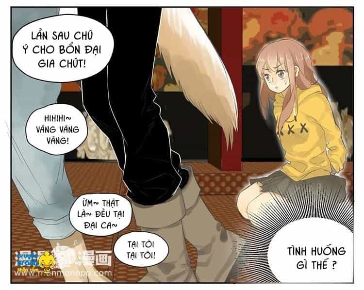 Cứu Mạng! Loài Mèo Thống Trị Thế Giới Rồi! - Chương 19 - ảnh 4