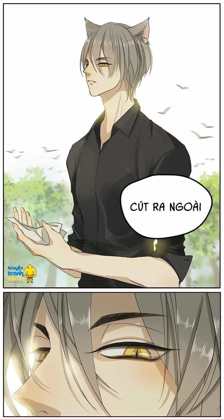 Cứu Mạng! Loài Mèo Thống Trị Thế Giới Rồi! - Chương 2 - ảnh 15