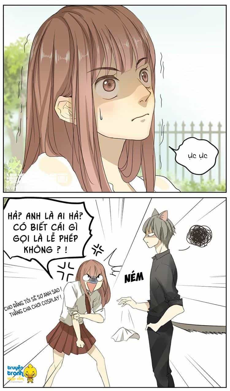 Cứu Mạng! Loài Mèo Thống Trị Thế Giới Rồi! - Chương 2 - ảnh 16