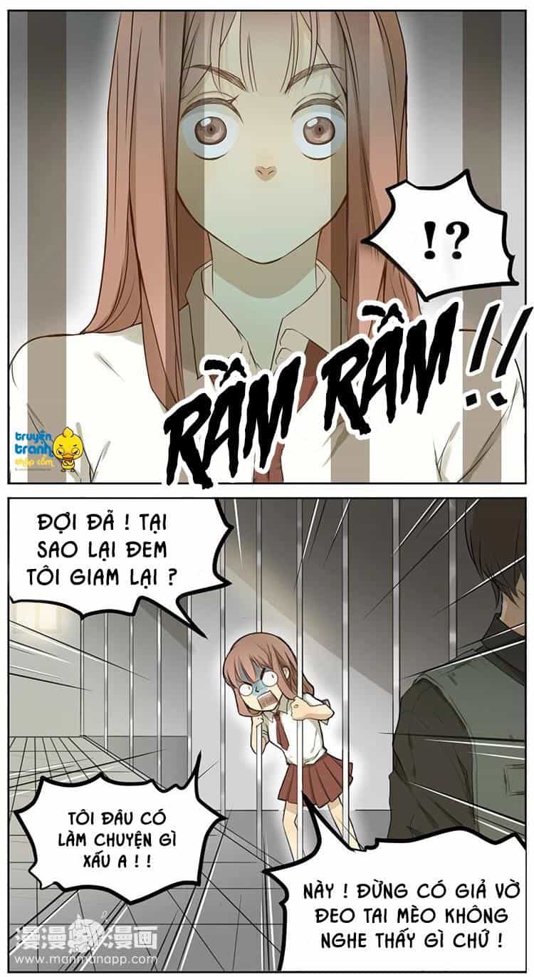 Cứu Mạng! Loài Mèo Thống Trị Thế Giới Rồi! - Chương 2 - ảnh 18