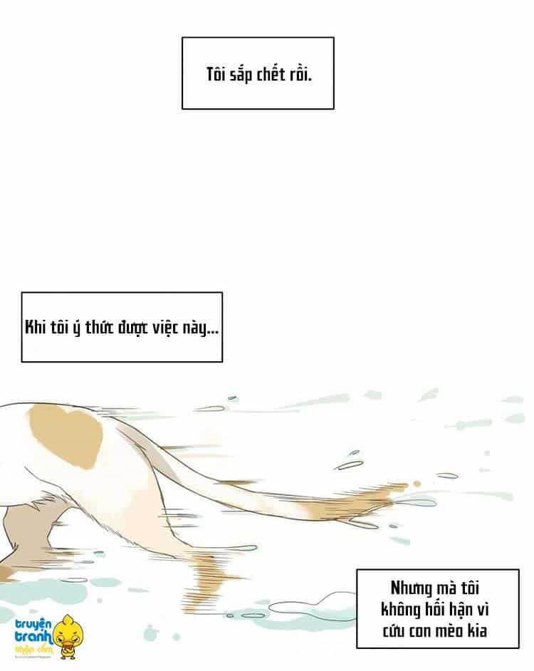 Cứu Mạng! Loài Mèo Thống Trị Thế Giới Rồi! - Chương 2 - ảnh 2